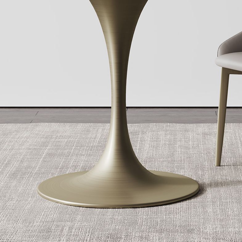 Round Tulip Base Dining Site Table Traditional Luxury Dinette Table for Home Clearhalo ' dining_table' 'Dining Tables & Seating' 'Dining Tables' 'furn' 'furn_dining_table' 'Furniture' 'furniture_dining_table' 'Kitchen & Dining Furniture' 'kitchen&dining_furn' 'kitchen' 'kitchen_dining_table' 1200x1200_760cff57-7b74-47a4-9b59-328a539cbe37