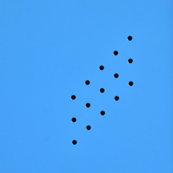 Placard de garde-robe en métal contemporain avec étagères, 35,43 "d x 16,54" W x 70,87 "H