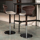 Adjustable Height Bar Stool Leather Backrest Bar Stools for Dining Room