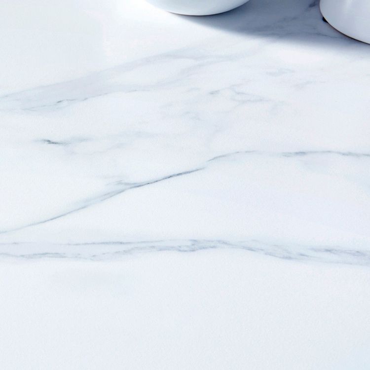 Fixed Sintered Stone Top Kitchen Table Set with 4 Legs Base Dining Furniture for Home Clearhalo 'Dining Room Sets' 'Dining Tables & Seating' 'dining_room_set' 'furn' 'furn_dining_room_set' 'Furniture' 'furniture_dining_room_set' 'Kitchen & Dining Furniture' 'kitchen&dining_furn' 'kitchen' 1200x1200_76f62a74-eaf4-44a3-91f4-21aefbdae757