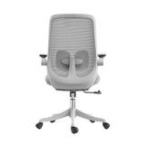 Contemporary Office Chair High Back Lumbar Support Desk Chair