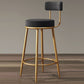 Glam Armless Backrest Counter Stool Iron Cushion Bar Stool with and Pedal Clearhalo 'Bar Furniture' 'Bar Stools' 'bar_stools' 'furn' 'furn_bar_stools' 'Furniture' 'furniture_bar_stools' 'Kitchen & Dining Furniture' 1200x1200_779d9fc6-d2e4-4704-9968-1079b303a226