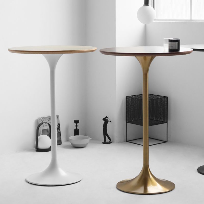 Contemporary Round Bar Height Table Metal Pedestal Bar Table for Cafe and Breakroom Clearhalo 'Bar Furniture' 'Bar Tables' 'bar_tables' 'furn' 'furn_bar_tables' 'Furniture' 'Kitchen & Dining Furniture' 1200x1200_77a10eeb-82bf-4817-a35d-9c89ff23350a