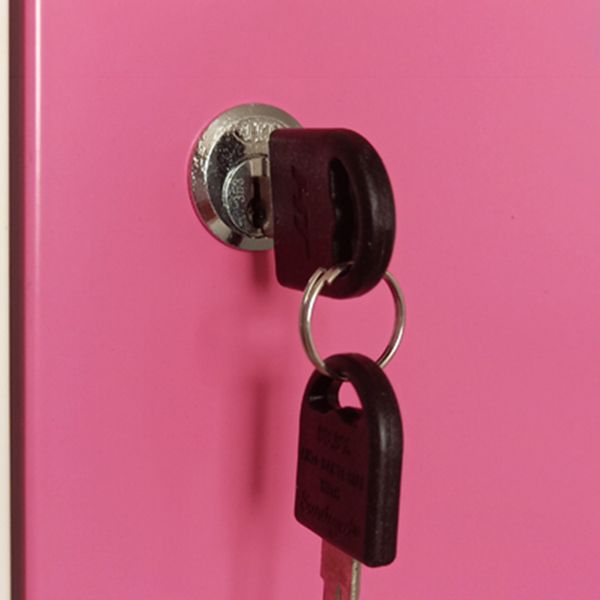 Modern Hinged Door Storage Cabinet Matte Finish Cabinet for Home Clearhalo 'Armoires & Wardrobes' 'armoires_wardrobes' 'Bedroom Furniture' 'furn' 'furn_armoires_wardrobes' 'Furniture' 1200x1200_7830f174-273c-4d94-8c18-646819415115