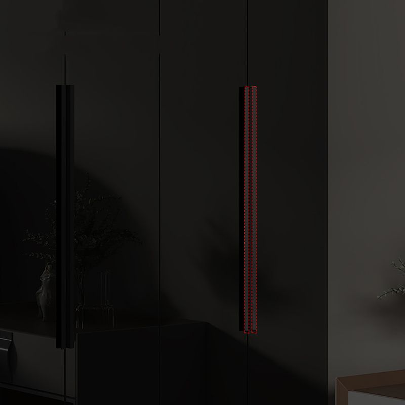 Armadio di vetro in stile moderno armadio a colori nero per camera da letto