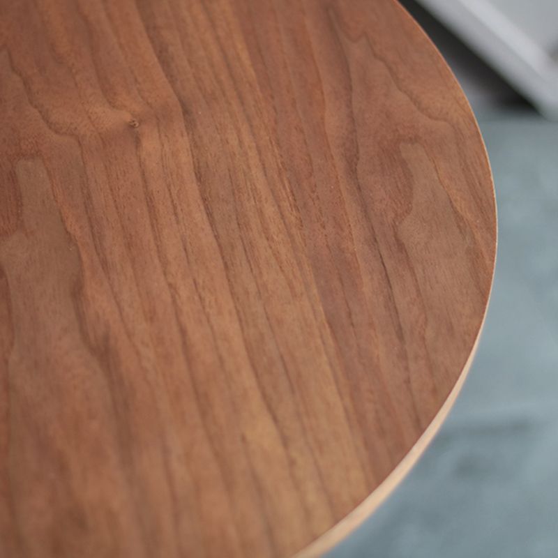 Wooden Top Dining Table Modern Round Dining Table with Metal Base Clearhalo 'Dining Tables & Seating' 'Dining Tables' 'dining_table' 'furn' 'furn_dining_table' 'Furniture' 'furniture_dining_table' 'Kitchen & Dining Furniture' 'kitchen' 'kitchen_dining_table' 1200x1200_78891d90-6ab5-40a3-9ce0-383aaa4e589a