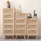 11.81" Wide Accent Chest Rattan Rectangle Standard Chest with Drawers