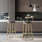 Modern Style Metal Bar Stool with Footrest and Low Back Casual Bar Stool Clearhalo 'Bar Furniture' 'Bar Stools' 'bar_stools' 'furn' 'furn_bar_stools' 'furniture_bar_stools' 'Kitchen & Dining Furniture' 'kitchen&dining_furn' 'kitchen' 'kitchen_furn' Furniture' 1200x1200_78f6f40e-6861-4fe9-971a-52e279a4a451