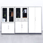 Armoire de fichiers contemporaine Cadre en acier à liborde verticale avec serrure de clé