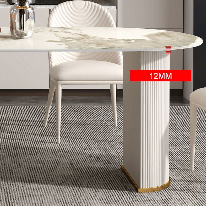 Modern Freeform Dining Table Sintered Stone Table with Double Pedestal Clearhalo ' dining_table' 'Dining Tables & Seating' 'Dining Tables' 'furn' 'furn_dining_table' 'Furniture' 'furniture_dining_table' 'Kitchen & Dining Furniture' 'kitchen&dining_furn' 'kitchen' 'kitchen_dining_table' 1200x1200_79aa351f-bbc0-457e-9009-d47b68202d81