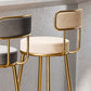 Glam Armless Backrest Counter Stool Iron Counter Stool with Cushion and Pedal Clearhalo 'Bar Furniture' 'Bar Stools' 'bar_stools' 'furn' 'furn_bar_stools' 'Furniture' 'Kitchen & Dining Furniture' 1200x1200_79cbc64d-ecb5-4899-af00-816076fad7cc