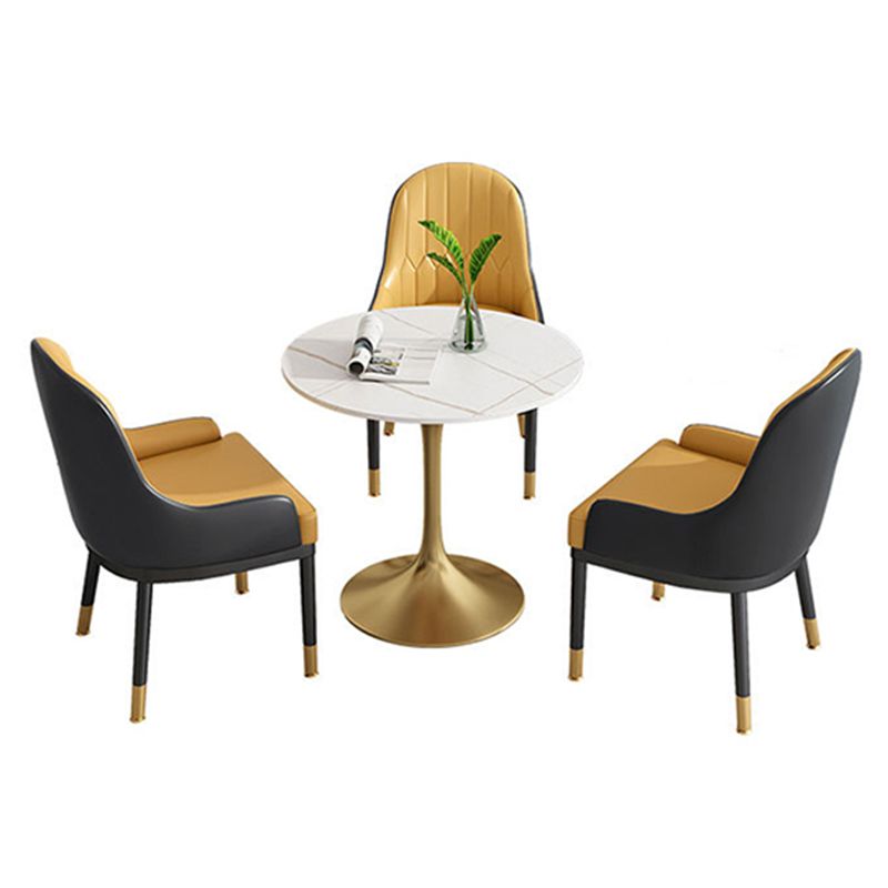 Metal Traditional Luxury Round Dining Table Sintered Stone Table with Tulip Base Clearhalo 'Dining Tables & Seating' 'Dining Tables' 'dining_table' 'furn' 'furn_dining_table' 'Furniture' 'Kitchen & Dining Furniture' 1200x1200_79d2e08e-1851-4b8f-90ec-7cbfae9653a1