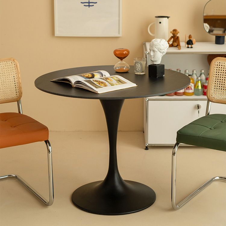 Contemporary Round Shape Sintered Stone Dining Table Kitchen Dining Table with Tulip Base Clearhalo ' dining_table' 'Dining Tables & Seating' 'Dining Tables' 'furn' 'furn_dining_table' 'Furniture' 'furniture_dining_table' 'Kitchen & Dining Furniture' 'kitchen&dining_furn' 'kitchen' 'kitchen_dining_table' 1200x1200_7a842395-aed4-4cf8-8704-d74612c5752d