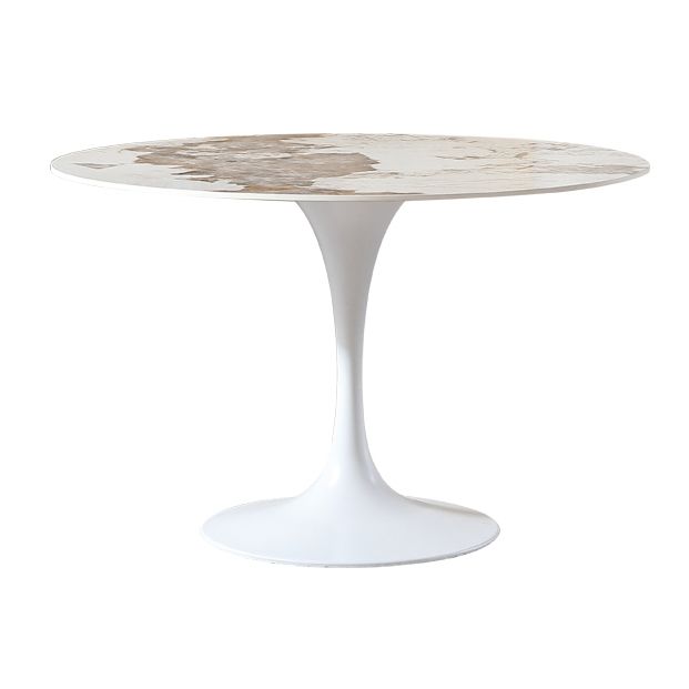 Round Tulip Base Dinette Table Simplicity Style Dining Site Table for Indoor Clearhalo ' dining_table' 'Dining Tables & Seating' 'Dining Tables' 'furn' 'furn_dining_table' 'Furniture' 'furniture_dining_table' 'Kitchen & Dining Furniture' 'kitchen&dining_furn' 'kitchen' 'kitchen_dining_table' 1200x1200_7a8c3499-0075-4357-989c-7bb9f1f99bfb