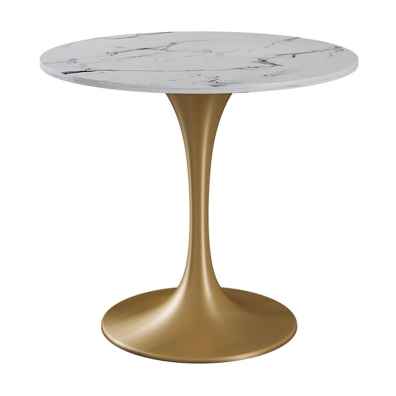 Round Shape Modern Dining Table White Sintered Stone Fixed Table with Tulip Base Clearhalo ' dining_table' 'Dining Tables & Seating' 'Dining Tables' 'furn' 'furn_dining_table' 'Furniture' 'furniture_dining_table' 'Kitchen & Dining Furniture' 'kitchen&dining_furn' 'kitchen' 'kitchen_dining_table' 1200x1200_7ac0c793-0b7f-4f9b-980d-a4702a902406