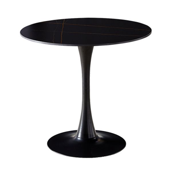 Modern Style Sintered Stone Dining Room Table Round Table with Tulip Base Clearhalo ' dining_table' 'Dining Tables & Seating' 'Dining Tables' 'furn' 'furn_dining_table' 'Furniture' 'furniture_dining_table' 'Kitchen & Dining Furniture' 'kitchen&dining_furn' 'kitchen' 'kitchen_dining_table' 1200x1200_7adcee8a-a2fe-4cb7-a265-954946403f07