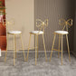 Glam Armless Backrest Counter Stool Iron Cashier Bar Stool with Cushion and Pedal Clearhalo 'Bar Furniture' 'Bar Stools' 'bar_stools' 'furn' 'furn_bar_stools' 'Furniture' 'Kitchen & Dining Furniture' 1200x1200_7addd92c-0e7f-4a16-9bea-4b649e4f408d