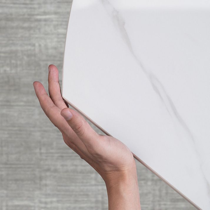 Glam 1/4/5/6/7 Pieces Dining Room Set Round Dining Table Set Clearhalo 'Dining Room Sets' 'Dining Tables & Seating' 'dining_room_set' 'furn' 'furn_dining_room_set' 'Furniture' 'furniture_dining_room_set' 'Kitchen & Dining Furniture' 1200x1200_7b3ac363-1c78-42a2-83f6-7a4152137fb9