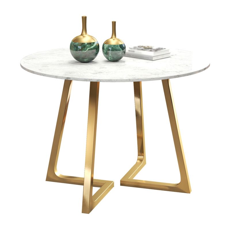 Modern Style Sintered Stone Dining Table Round Table with Double Pedestal Base Clearhalo ' dining_table' 'Dining Tables & Seating' 'Dining Tables' 'furn' 'furn_dining_table' 'Furniture' 'furniture_dining_table' 'Kitchen & Dining Furniture' 'kitchen&dining_furn' 'kitchen' 'kitchen_dining_table' 1200x1200_7bd0f77c-5a76-4afd-948f-5deb7df95363