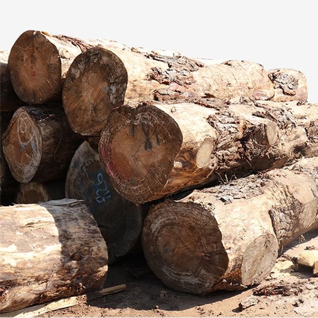 Tavolino da cocktail in slitta o caffè in legno massiccio contemporaneo