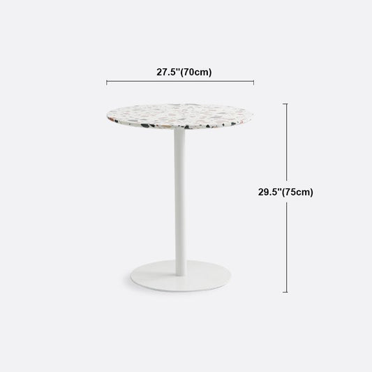 Industrial Metal Pedestal Dining Table Sintered Stone Table for Dining Room Clearhalo ' dining_table' 'Dining Tables & Seating' 'Dining Tables' 'furn' 'furn_dining_table' 'Furniture' 'furniture_dining_table' 'Kitchen & Dining Furniture' 'kitchen&dining_furn' 'kitchen' 'kitchen_dining_table' 1200x1200_7be700cb-3af3-4a71-8685-6604dad2f6fd