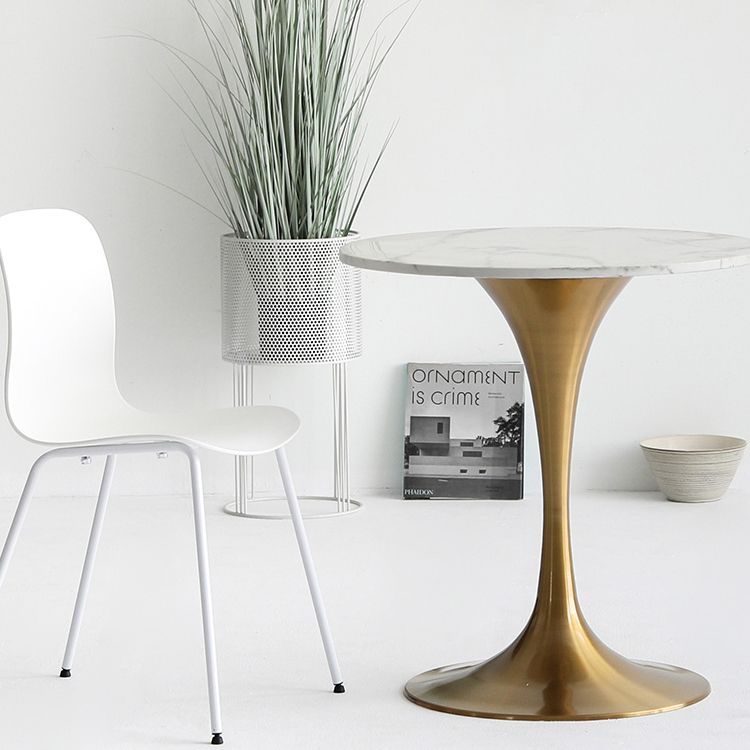 Metal Modern Round Dining Table Marble Top Indoor Table with Tulip Base Clearhalo ' dining_table' 'Dining Tables & Seating' 'Dining Tables' 'furn' 'furn_dining_table' 'Furniture' 'furniture_dining_table' 'Kitchen & Dining Furniture' 'kitchen&dining_furn' 'kitchen' 'kitchen_dining_table' 1200x1200_7c146718-362a-4a66-bf28-2155d9fd144d