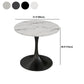 Modern Style Dining Table Sintered Stone Round Tulip Table for Dining Room Clearhalo 'Dining Tables & Seating' 'Dining Tables' 'dining_table' 'furn' 'furn_dining_table' 'Furniture' 'Kitchen & Dining Furniture' 1200x1200_7c2d5ffc-24c1-436b-996c-80a2c199810c