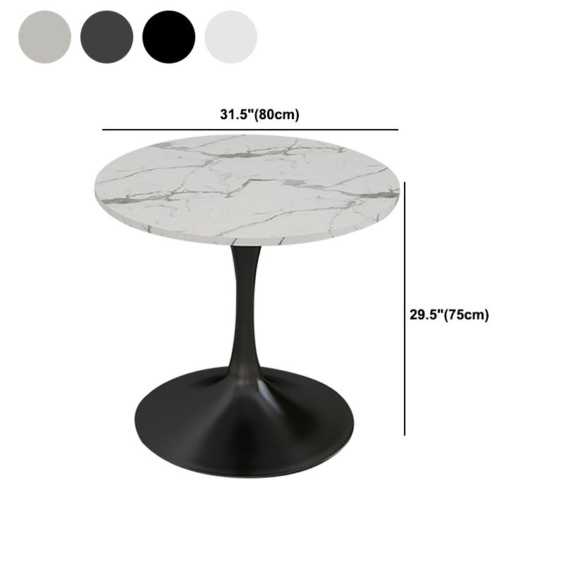 Modern Style Dining Table Sintered Stone Round Tulip Table for Dining Room Clearhalo 'Dining Tables & Seating' 'Dining Tables' 'dining_table' 'furn' 'furn_dining_table' 'Furniture' 'Kitchen & Dining Furniture' 1200x1200_7c2d5ffc-24c1-436b-996c-80a2c199810c