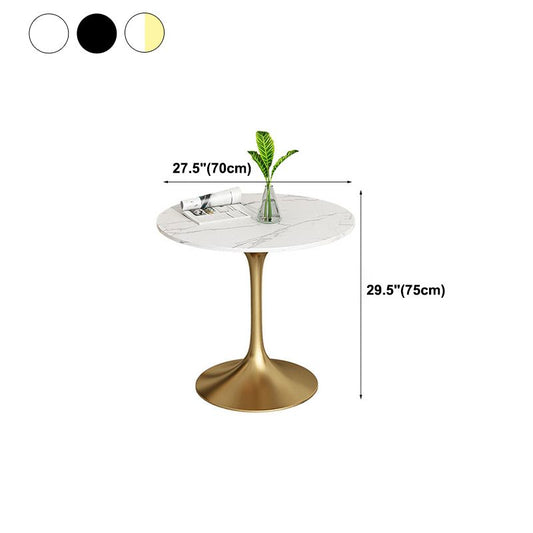 Metal Traditional Luxury Round Dining Table Sintered Stone Table with Tulip Base Clearhalo 'Dining Tables & Seating' 'Dining Tables' 'dining_table' 'furn' 'furn_dining_table' 'Furniture' 'Kitchen & Dining Furniture' 1200x1200_7c6a0b30-e690-4c94-96ab-6c4f75738ff6