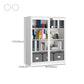 Modern Style Vertical Filing Cabinet Glass Filing Cabinet with Locking Storage