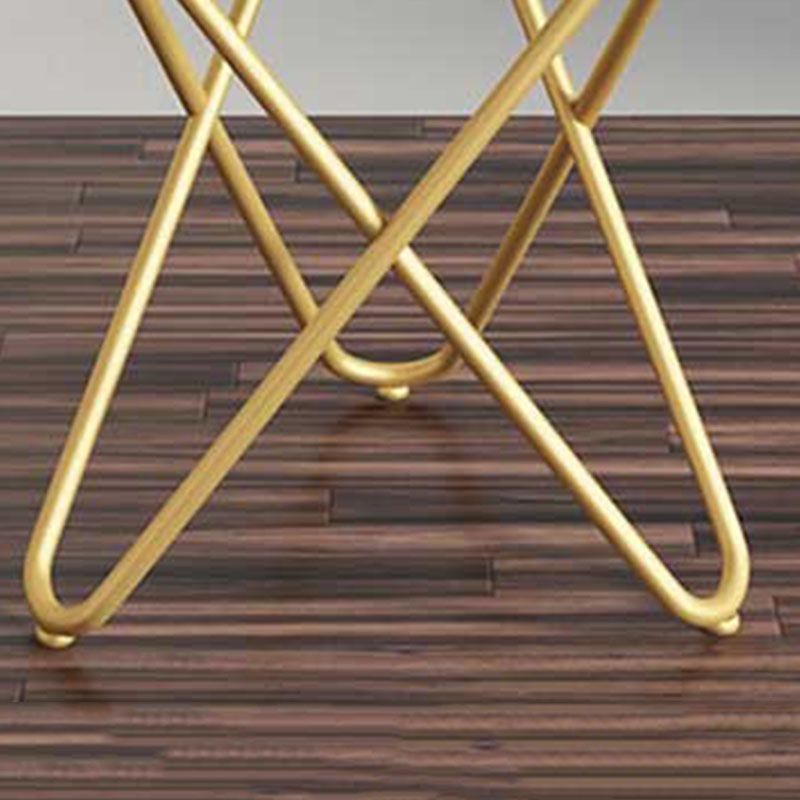 Moderner Goldstandard -Samt -Trea -resistentes Standard für das Wohnzimmer