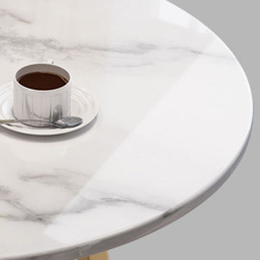 Round Stone Top Table Contemporary Style Steel Base Dining Table