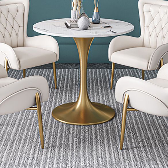 Scandinavian Kitchen Dining Room Set with Sintered Stone Top and Gold Base Dining Furniture Clearhalo 'Dining Room Sets' 'Dining Tables & Seating' 'dining_room_set' 'furn' 'furn_dining_room_set' 'Furniture' 'furniture_dining_room_set' 'Kitchen & Dining Furniture' 'kitchen&dining_furn' 'kitchen' 1200x1200_7d0eb6c9-2803-4576-bf0c-4adb20d1b26f