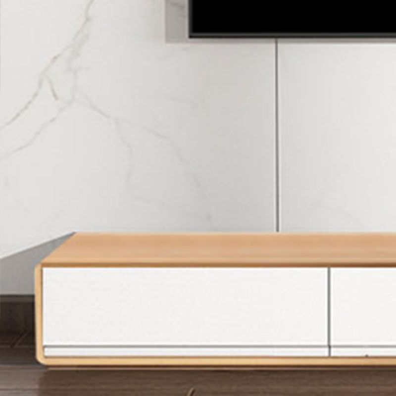 Nordic Simple TV Cabinet Modern Luxury Floor TV Cabinet for Living Room Clearhalo 'furn' 'furn_tv_stands_entertainment_centers' 'Furniture' 'Living Room Furniture' 'TV Stands & Entertainment Centers' 'TV Stands & Media Storage Furniture' 'tv_stands_entertainment_centers' 1200x1200_7d23a428-85eb-4cb2-951d-1229392c73f6