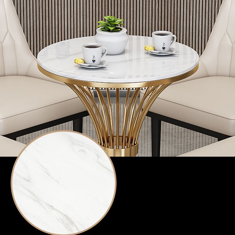 Round Scandinavian Style Dining Room Set Sintered Stone Dining Furniture Set with Metallic Base Clearhalo 'Dining Room Sets' 'Dining Tables & Seating' 'dining_room_set' 'furn' 'furn_dining_room_set' 'Furniture' 'furniture_dining_room_set' 'Kitchen & Dining Furniture' 'kitchen&dining_furn' 'kitchen' 1200x1200_7d63fe3b-ab60-4ab2-ab2d-002a2deb3095