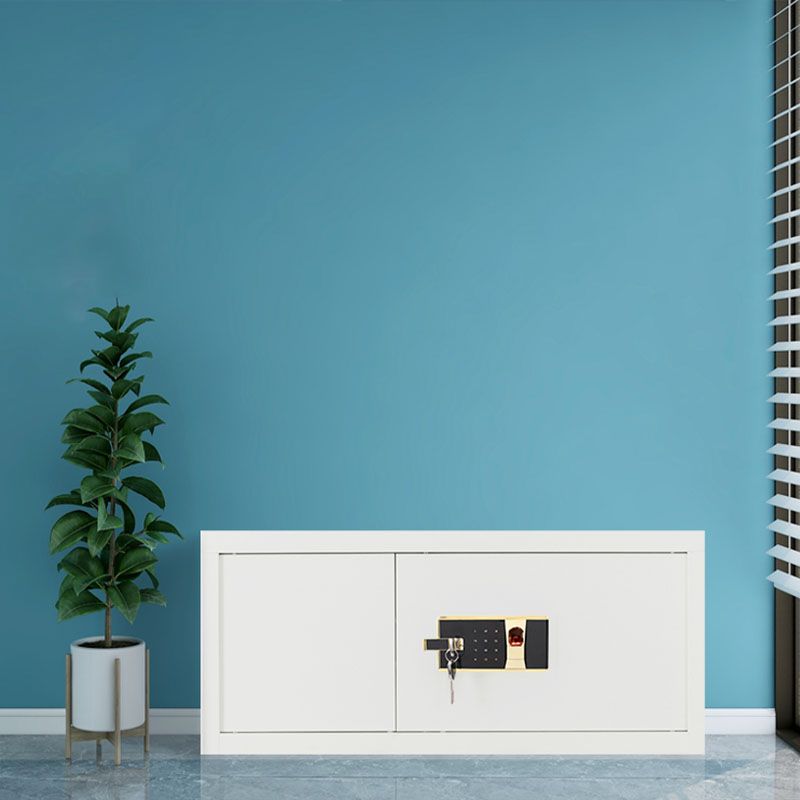 Contemporary File Cabinet Metal Frame Fire-Resistant Lateral File Cabinet with Lock Clearhalo 'Filing Cabinets' 'filling_cabinets' 'furn' 'furn_filling_cabinets' 'Furniture' 'Office Furniture' 1200x1200_7d641479-9943-4e7d-9fa0-19ba1766a70e