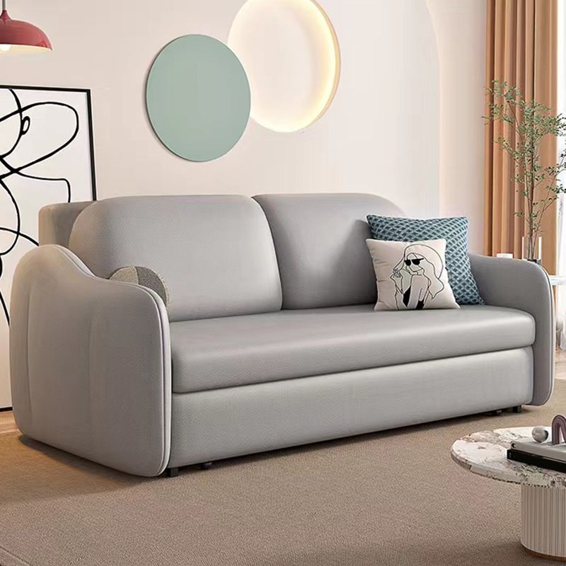 Faux leather Sleeper Sofa with Pillow Back Sofa Bed with Detachable Mattress Clearhalo 'furn' 'furn_futons' 'Furniture' 'Futons & Daybeds' 'Futons' 'Living Room Furniture' 1200x1200_7d787ec7-92ed-4eae-a1f5-bf00294c632d