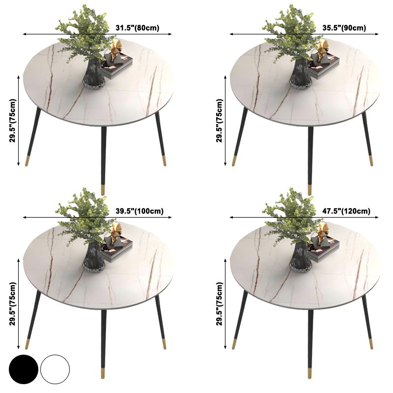 Luxury Style Home Sintered Stone Dining Table 4 Legs Metallic Base Round Table Clearhalo ' dining_table' 'Dining Tables & Seating' 'Dining Tables' 'furn' 'furn_dining_table' 'Furniture' 'furniture_dining_table' 'Kitchen & Dining Furniture' 'kitchen&dining_furn' 'kitchen' 'kitchen_dining_table' 1200x1200_7d8461a1-3443-4f49-a725-c1332c487a8b