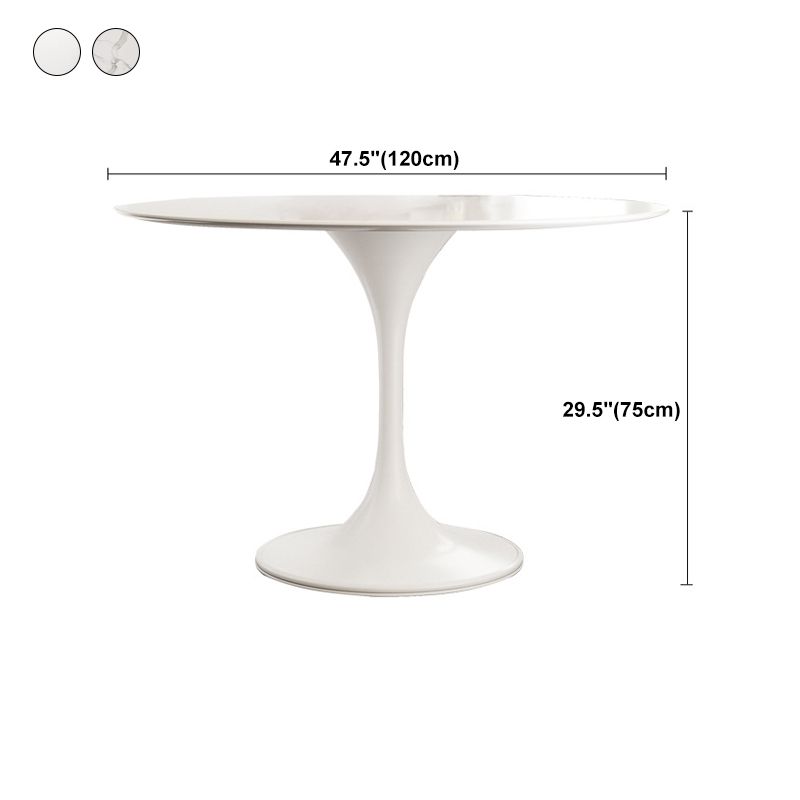 Stone Round Top Table Contemporary Dining Table with Pedestal Base Clearhalo 'Dining Tables & Seating' 'Dining Tables' 'dining_table' 'furn' 'furn_dining_table' 'Furniture' 'furniture_dining_table' 'Kitchen & Dining Furniture' 'kitchen' 'kitchen_dining_table' 1200x1200_7d953b3c-2436-48f8-a0a2-5fdf03722028
