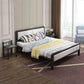 Contemporary Low Profile Panel Bed Upholstered Standard Bed in Black
