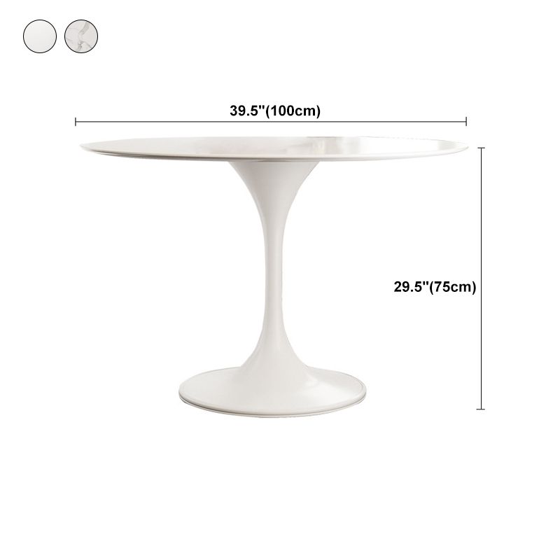 Stone Round Top Table Contemporary Dining Table with Pedestal Base Clearhalo 'Dining Tables & Seating' 'Dining Tables' 'dining_table' 'furn' 'furn_dining_table' 'Furniture' 'furniture_dining_table' 'Kitchen & Dining Furniture' 'kitchen' 'kitchen_dining_table' 1200x1200_7e30b4a8-4cc2-4789-9291-ec66537f39f1