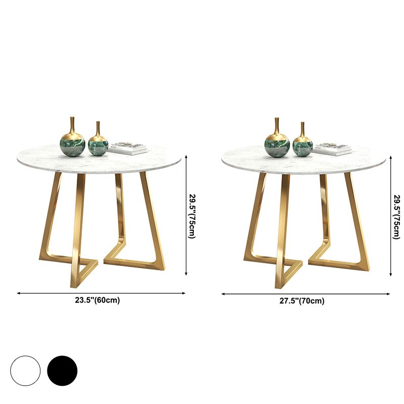 Modern Style Sintered Stone Dining Table Round Table with Double Pedestal Base Clearhalo ' dining_table' 'Dining Tables & Seating' 'Dining Tables' 'furn' 'furn_dining_table' 'Furniture' 'furniture_dining_table' 'Kitchen & Dining Furniture' 'kitchen&dining_furn' 'kitchen' 'kitchen_dining_table' 1200x1200_7e6a23d0-2335-4511-b8b8-f5027ad9b957