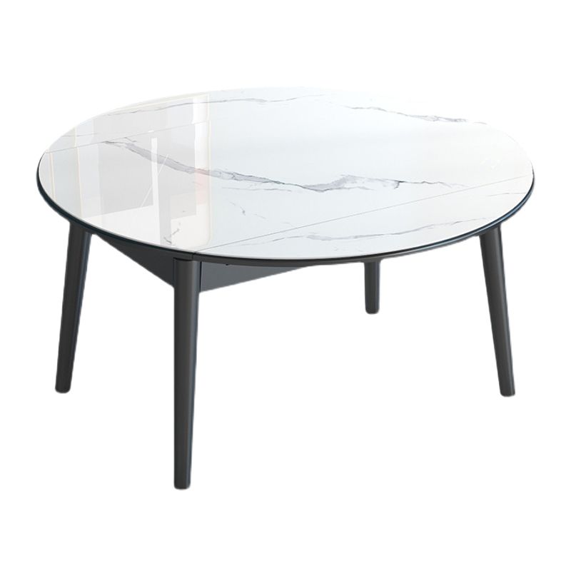 Modern Style Sintered Stone Dining Table Round Drop-Leaf Table with Wooden Base Clearhalo ' dining_table' 'Dining Tables & Seating' 'Dining Tables' 'furn' 'furn_dining_table' 'Furniture' 'furniture_dining_table' 'Kitchen & Dining Furniture' 'kitchen&dining_furn' 'kitchen' 'kitchen_dining_table' 1200x1200_7e924a60-7866-4e37-8dd9-897065efb085