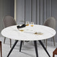 Modern Style Sintered Stone Dining Round Table Set 1/5 Pieces Dining Set Clearhalo 'Dining Room Sets' 'Dining Tables & Seating' 'dining_room_set' 'furn' 'furn_dining_room_set' 'Furniture' 'Kitchen & Dining Furniture' 1200x1200_7eb223b7-730d-4168-bf20-8e090f8d9641
