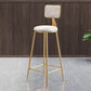 Modern Style Metal Bar Stool with Footrest and Low Back Bistro Lounge Bar Stool Clearhalo 'Bar Furniture' 'Bar Stools' 'bar_stools' 'furn' 'furn_bar_stools' 'furniture_bar_stools' 'Kitchen & Dining Furniture' 'kitchen&dining_furn' 'kitchen' 'kitchen_furn' Furniture' 1200x1200_7ed64915-5421-4f83-84f0-23ce6f744a39