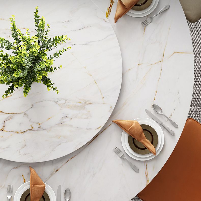 1/4/5/7 Pieces Dining Chairs Set Sintered Stone Table Set Rectangle Table Clearhalo 'Dining Room Sets' 'Dining Tables & Seating' 'dining_room_set' 'furn' 'furn_dining_room_set' 'Furniture' 'furniture_dining_room_set' 'Kitchen & Dining Furniture' 1200x1200_7f058b8a-c388-4837-aa8c-54d8a39dcd29