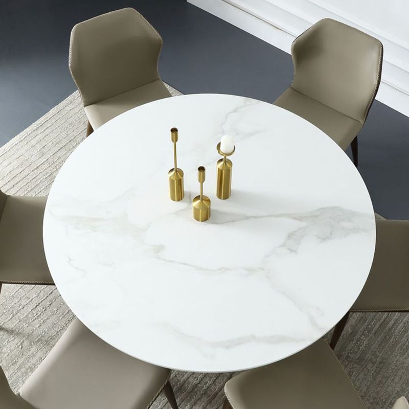 Stone Top Dining Table Contemporary Dining Table with Brown Pedestal Base Clearhalo ' dining_table' 'Dining Tables & Seating' 'Dining Tables' 'furn' 'furn_dining_table' 'Furniture' 'furniture_dining_table' 'Kitchen & Dining Furniture' 'kitchen&dining_furn' 'kitchen' 'kitchen_dining_table' 1200x1200_7fe9248f-3fcc-42cd-8f18-089ac061bc11