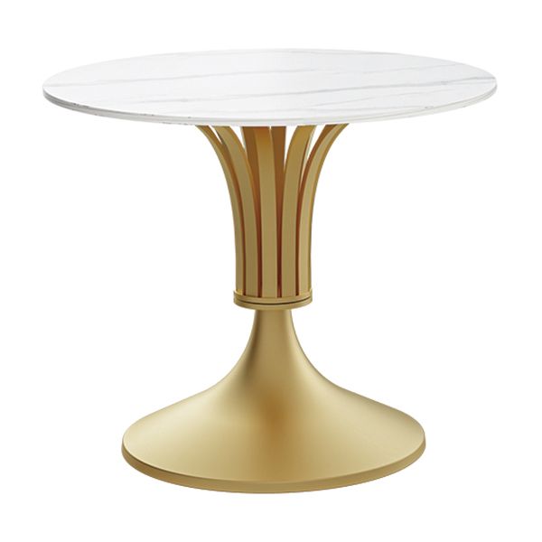 Minimalist Sintered Stone White Dining Table Round Shape Standard Dining Table for Kitchen Clearhalo ' dining_table' 'Dining Tables & Seating' 'Dining Tables' 'furn' 'furn_dining_table' 'Furniture' 'furniture_dining_table' 'Kitchen & Dining Furniture' 'kitchen&dining_furn' 'kitchen' 'kitchen_dining_table' 1200x1200_805243ed-5dd8-48c8-a6de-224af81263ce