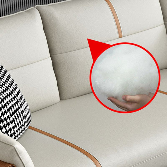 Glam Cushions Pillow Top Arm Stain Resistant Settee for Living Room Clearhalo 'furn' 'furn_sofas' 'Furniture' 'furniture_sofas' 'Living Room Furniture' 'Sofa' 'sofas' 1200x1200_80c5d19b-ddad-452d-925d-7cac4291db9b