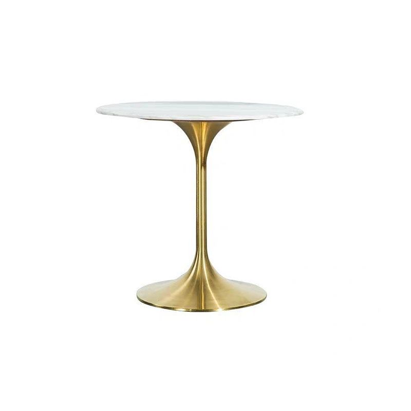Contemporary Marble Dining Set 1/2/4/5 Pieces Round Dining Table Set with Padded Chairs Clearhalo 'Dining Room Sets' 'Dining Tables & Seating' 'dining_room_set' 'furn' 'furn_dining_room_set' 'Furniture' 'Kitchen & Dining Furniture' 1200x1200_80f98901-5bbb-4441-8255-cf15bdc2f22f